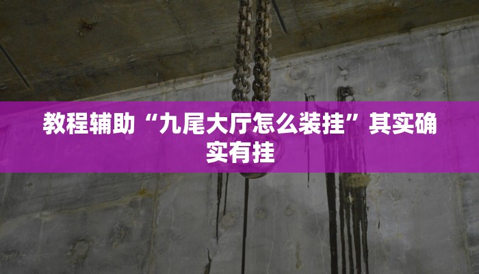 教程辅助“九尾大厅怎么装挂”其实确实有挂
