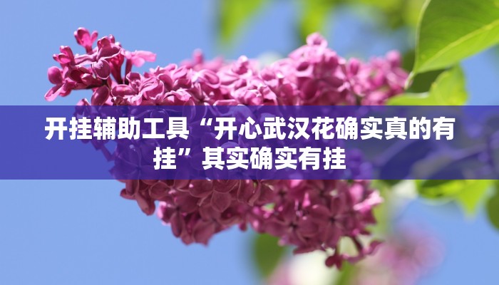 开挂辅助工具“开心武汉花确实真的有挂”其实确实有挂