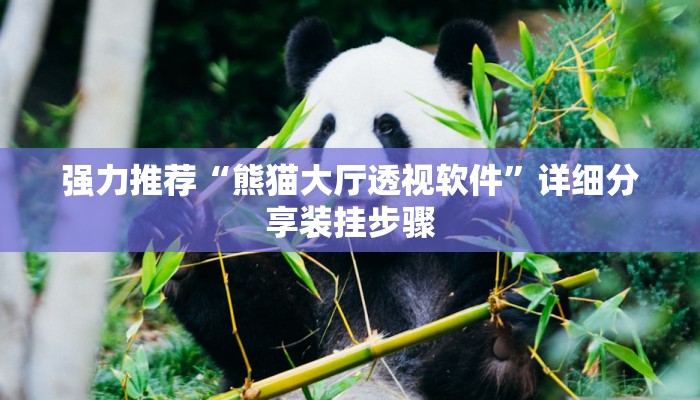 强力推荐“熊猫大厅透视软件”详细分享装挂步骤