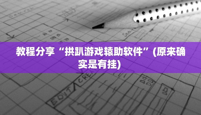 教程分享“拱趴游戏辕助软件”(原来确实是有挂) 