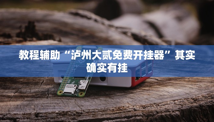 教程辅助“泸州大贰免费开挂器”其实确实有挂