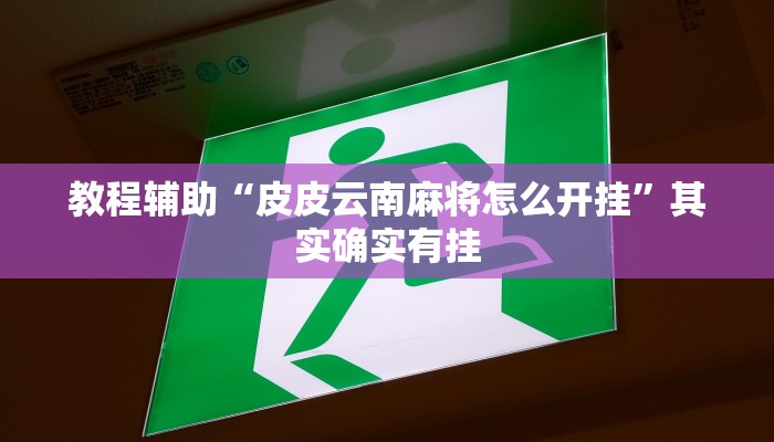 教程辅助“皮皮云南麻将怎么开挂”其实确实有挂