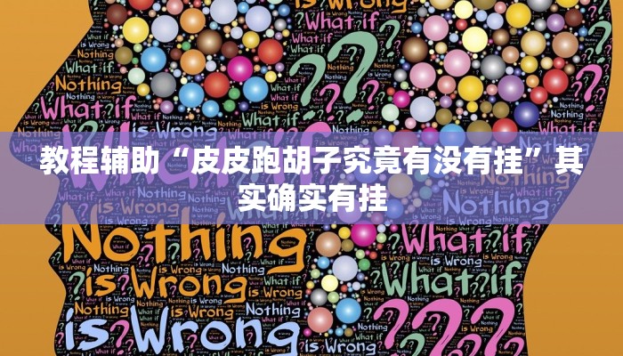 教程辅助“皮皮跑胡子究竟有没有挂”其实确实有挂