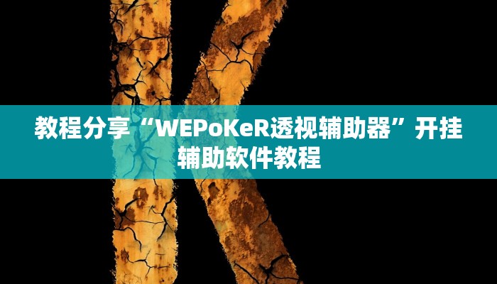 教程分享“WEPoKeR透视辅助器”开挂辅助软件教程
