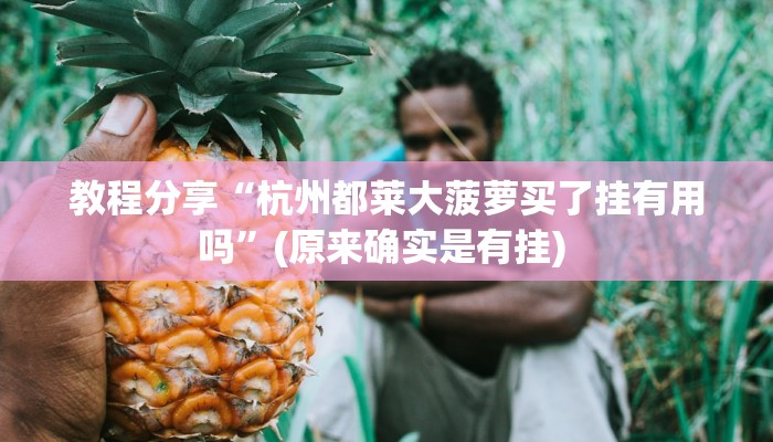 教程分享“杭州都莱大菠萝买了挂有用吗”(原来确实是有挂) 
