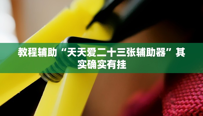 教程辅助“天天爱二十三张辅助器”其实确实有挂