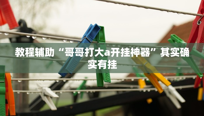 教程辅助“哥哥打大a开挂神器”其实确实有挂