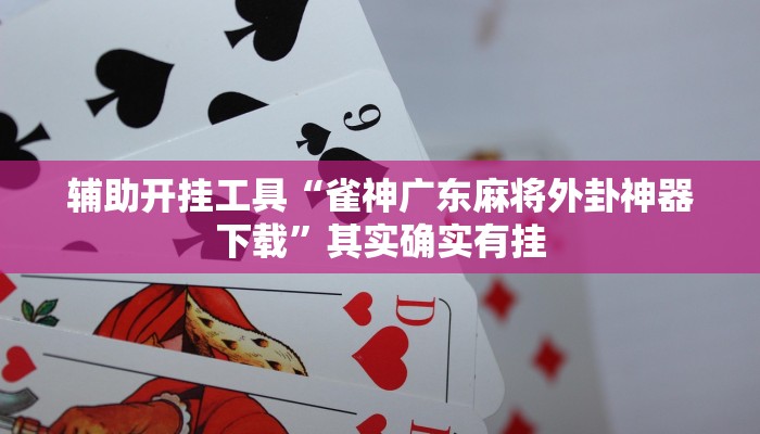 辅助开挂工具“雀神广东麻将外卦神器下载”其实确实有挂