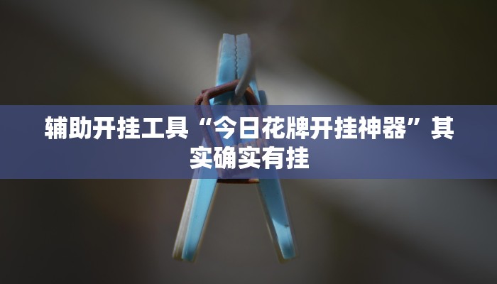 辅助开挂工具“今日花牌开挂神器”其实确实有挂