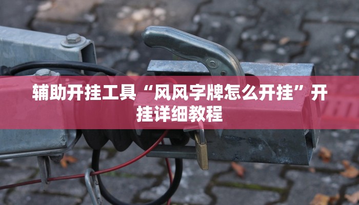 辅助开挂工具“风风字牌怎么开挂”开挂详细教程