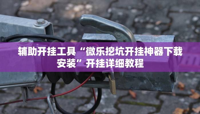 辅助开挂工具“微乐挖坑开挂神器下载安装”开挂详细教程 辅助开挂工具“微乐挖坑开挂神器下载安装”开挂详细教程