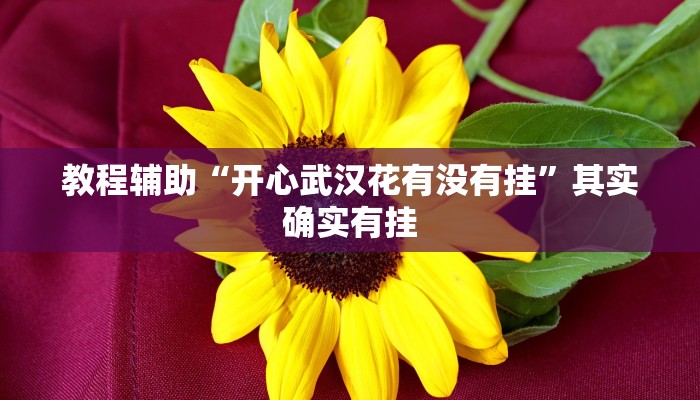教程辅助“开心武汉花有没有挂”其实确实有挂