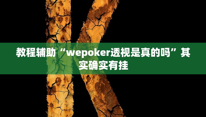 教程辅助“wepoker透视是真的吗”其实确实有挂