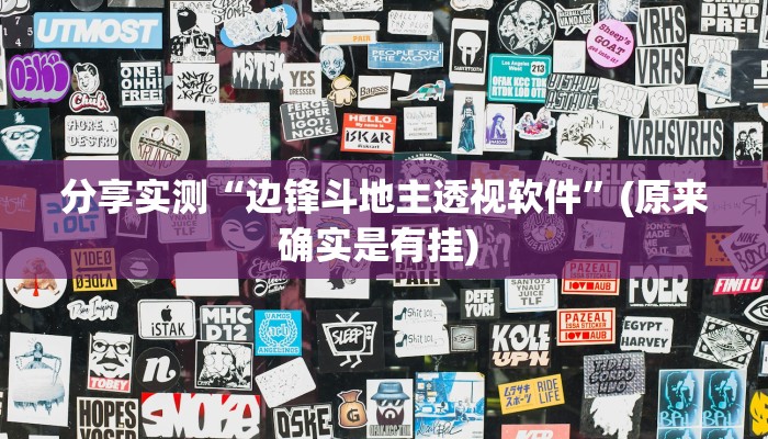 分享实测“边锋斗地主透视软件”(原来确实是有挂) 