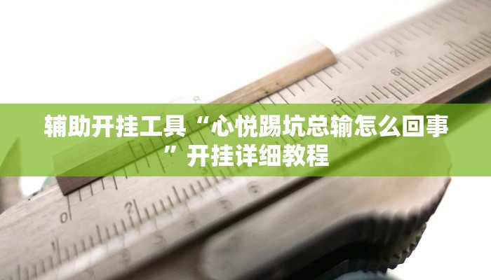 辅助开挂工具“心悦踢坑总输怎么回事”开挂详细教程