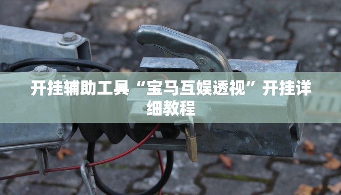 开挂辅助工具“宝马互娱透视”开挂详细教程