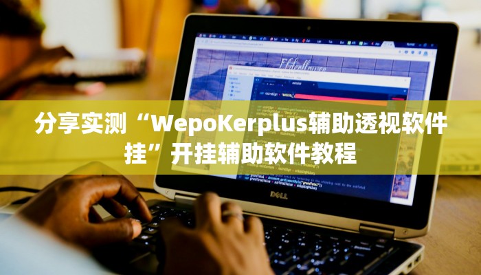 分享实测“WepoKerplus辅助透视软件挂”开挂辅助软件教程