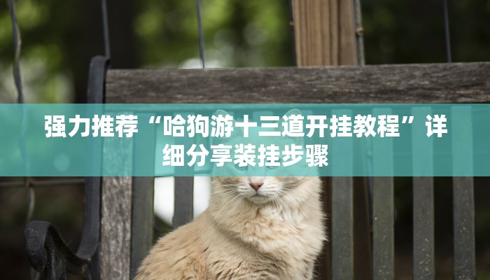 强力推荐“哈狗游十三道开挂教程”详细分享装挂步骤