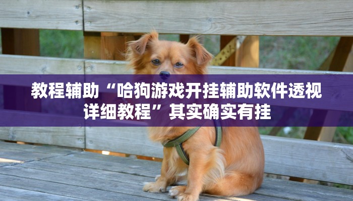 教程辅助“哈狗游戏开挂辅助软件透视详细教程”其实确实有挂