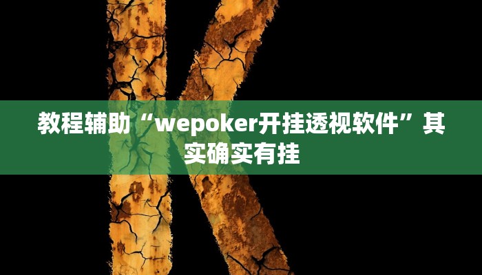教程辅助“wepoker开挂透视软件”其实确实有挂