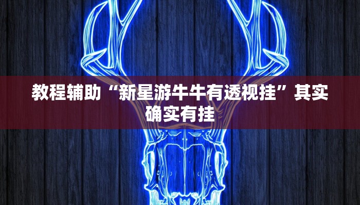 教程辅助“新星游牛牛有透视挂”其实确实有挂