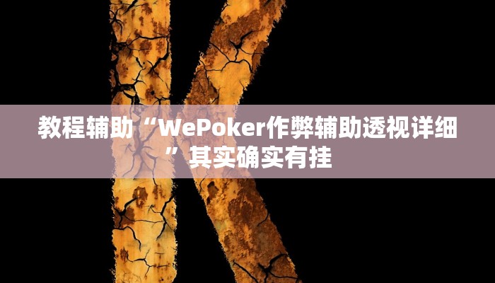 教程辅助“WePoker作弊辅助透视详细”其实确实有挂
