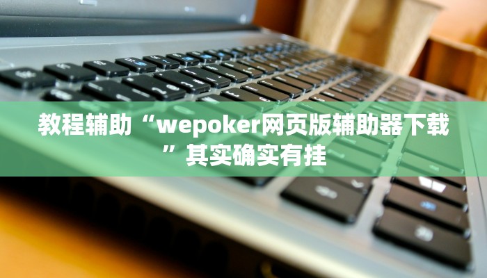 教程辅助“wepoker网页版辅助器下载”其实确实有挂