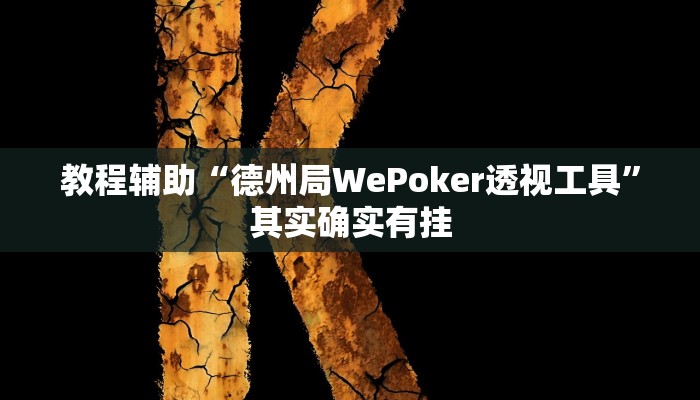 教程辅助“德州局WePoker透视工具”其实确实有挂