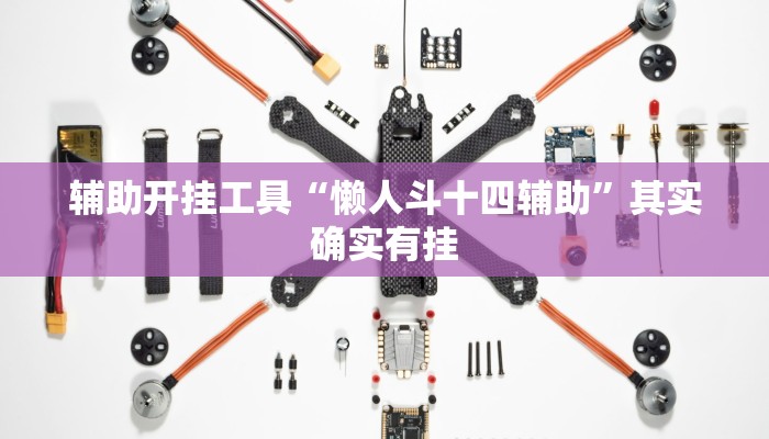 辅助开挂工具“懒人斗十四辅助”其实确实有挂