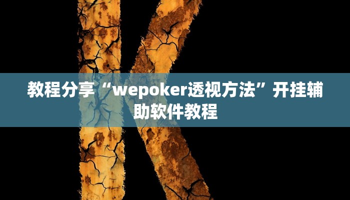 教程分享“wepoker透视方法”开挂辅助软件教程