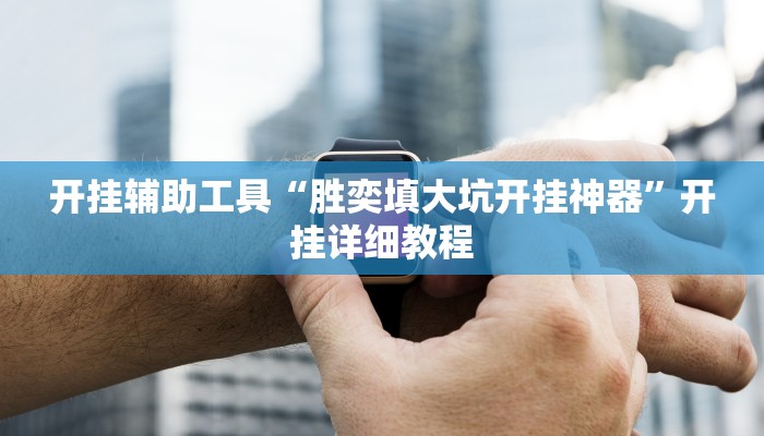 开挂辅助工具“胜奕填大坑开挂神器”开挂详细教程