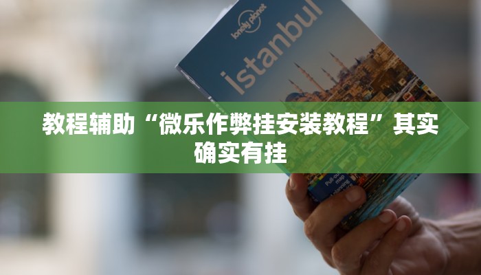 教程辅助“微乐作弊挂安装教程”其实确实有挂