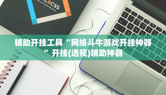 辅助开挂工具“网络斗牛游戏开挂神器”开挂(透视)辅助神器