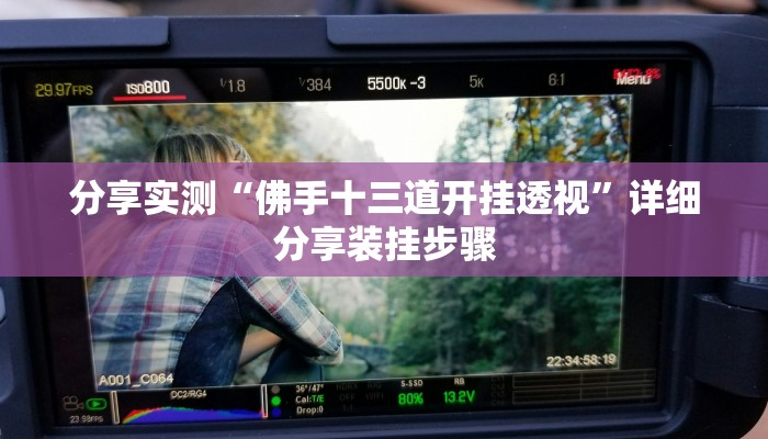 分享实测“佛手十三道开挂透视”详细分享装挂步骤