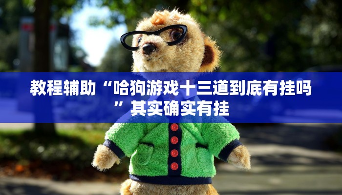 教程辅助“哈狗游戏十三道到底有挂吗”其实确实有挂