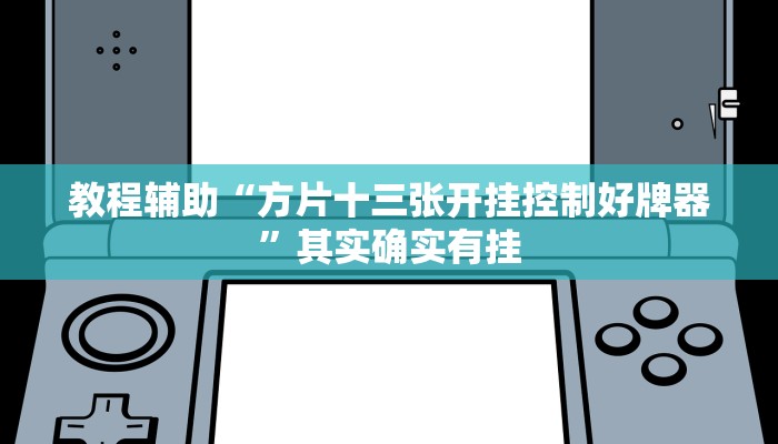教程辅助“方片十三张开挂控制好牌器”其实确实有挂