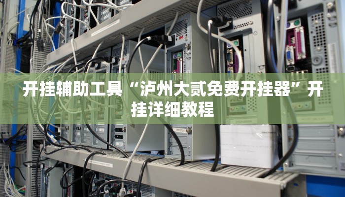 开挂辅助工具“泸州大贰免费开挂器”开挂详细教程