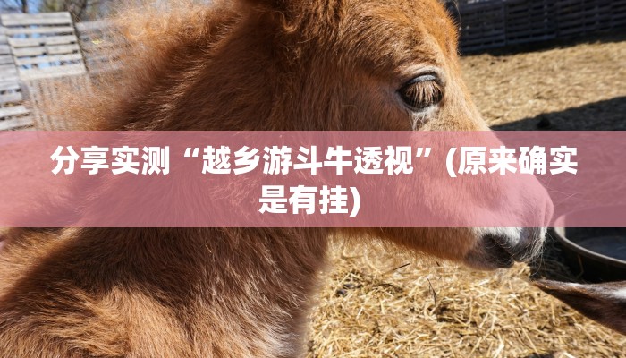 分享实测“越乡游斗牛透视”(原来确实是有挂) 