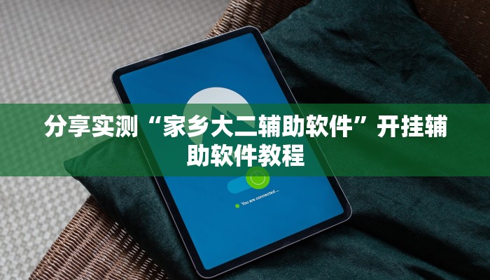 分享实测“家乡大二辅助软件”开挂辅助软件教程 分享实测“家乡大二辅助软件”开挂辅助软件教程