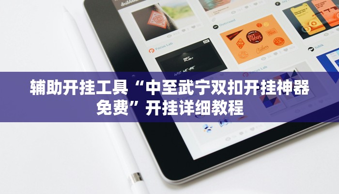 辅助开挂工具“中至武宁双扣开挂神器免费”开挂详细教程 辅助开挂工具“中至武宁双扣开挂神器免费”开挂详细教程