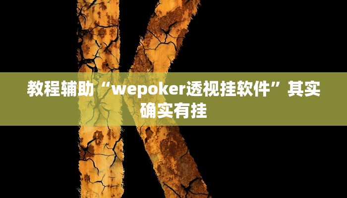 教程辅助“wepoker透视挂软件”其实确实有挂