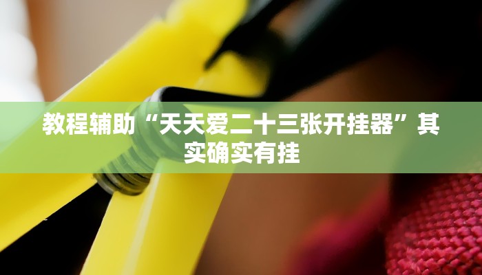 教程辅助“天天爱二十三张开挂器”其实确实有挂