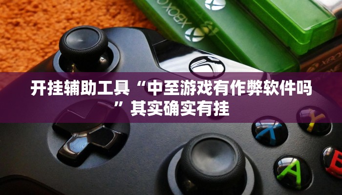 开挂辅助工具“中至游戏有作弊软件吗”其实确实有挂