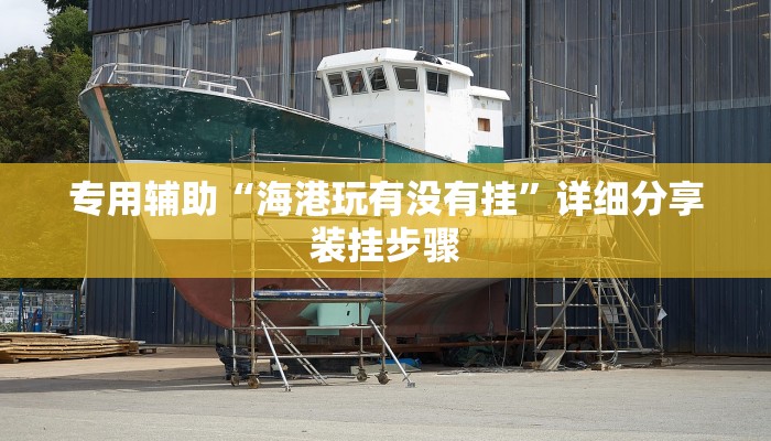 专用辅助“海港玩有没有挂”详细分享装挂步骤