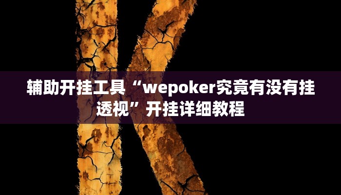 辅助开挂工具“wepoker究竟有没有挂透视”开挂详细教程