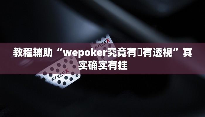 教程辅助“wepoker究竟有沒有透视”其实确实有挂