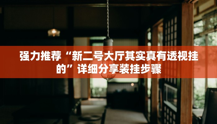 强力推荐“新二号大厅其实真有透视挂的”详细分享装挂步骤