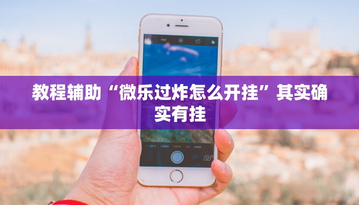 教程辅助“微乐过炸怎么开挂”其实确实有挂