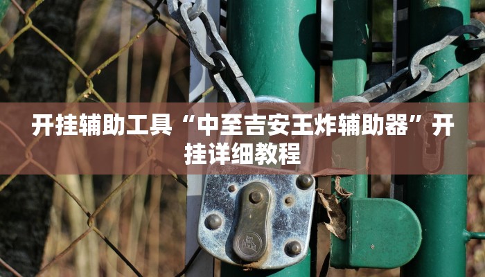 开挂辅助工具“中至吉安王炸辅助器”开挂详细教程