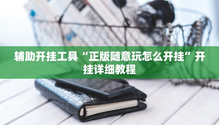 辅助开挂工具“正版随意玩怎么开挂”开挂详细教程